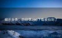 娱乐头条：向日葵app下载被拍到了