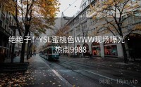 绝绝子！YSL蜜桃色WWW现场曝光 · 热点9988