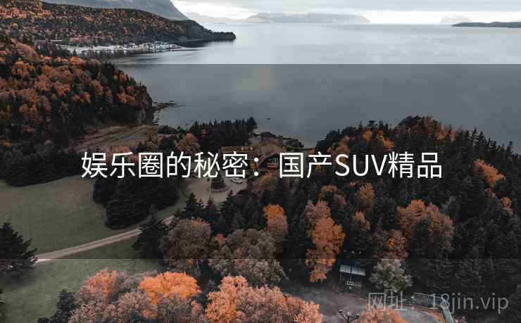 娱乐圈的秘密：国产SUV精品